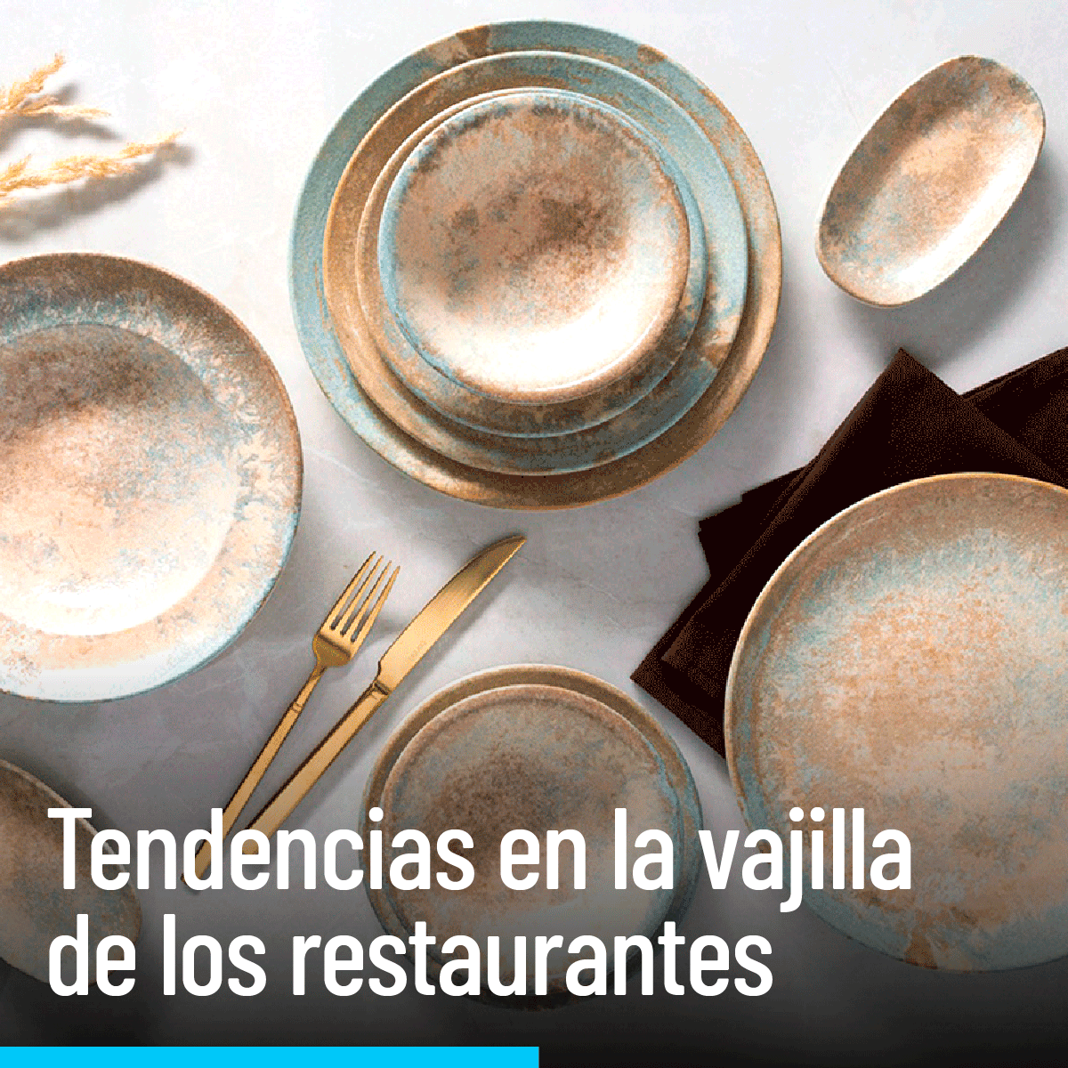 Vajillas para Restaurantes